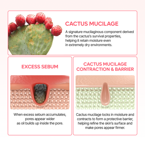 CACTOX Pore Dual Capsule Cream