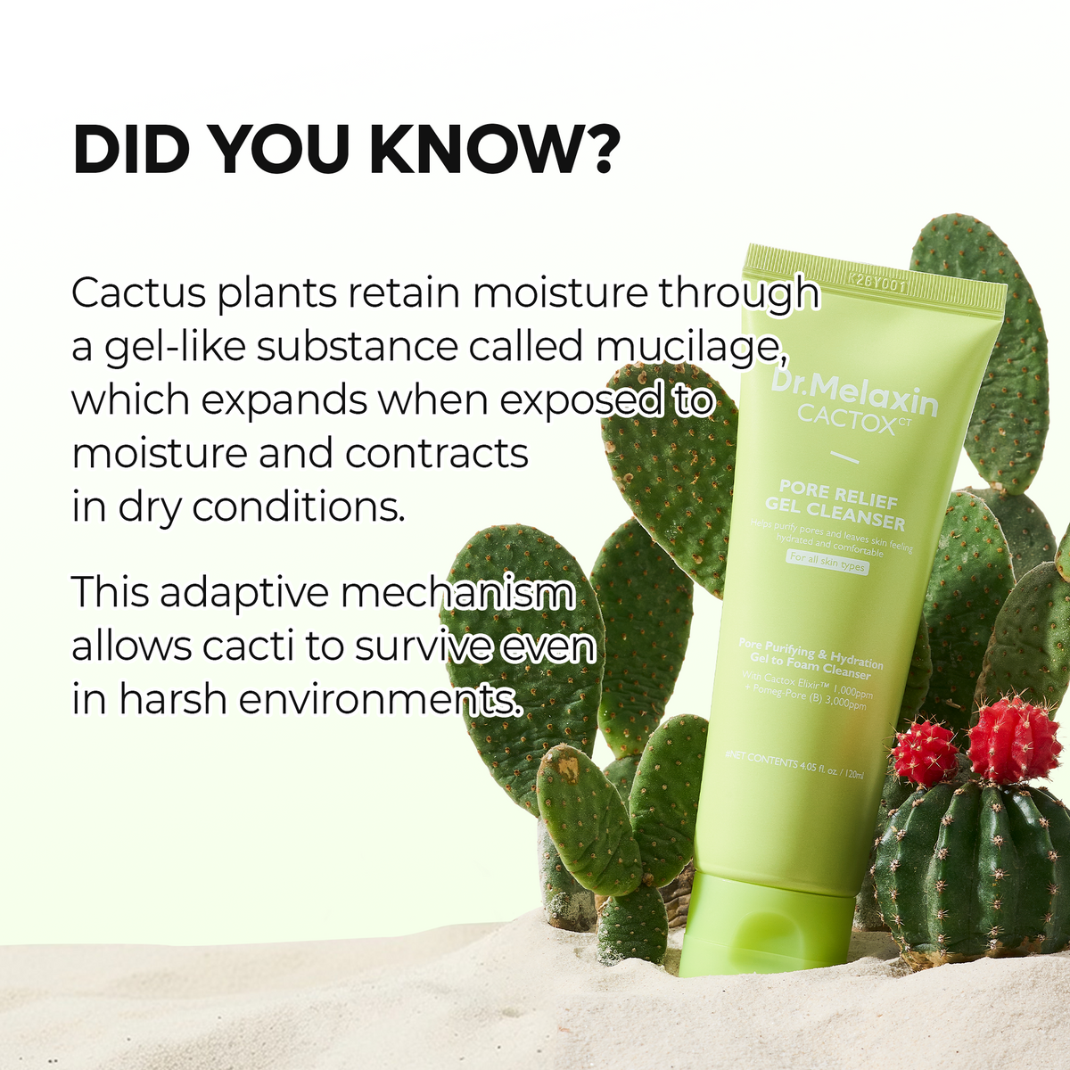 CACTOX Pore Relief Gel Cleanser