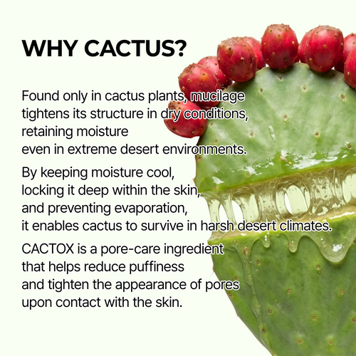 CACTOX Pore Relief Jelly Toner 60 Pads
